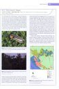 World Atlas of Mangroves