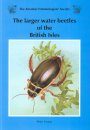 The Larger Water Beetles of the British Isles