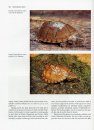 Turtles of the United States and Canada