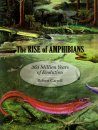 The Rise of Amphibians