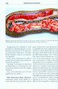 Snake Diseases