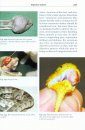 Snake Diseases