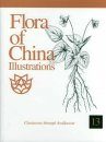 Flora of China Illustrations, Volume 13