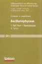 Süßwasserflora von Mitteleuropa, Bd 2/1: Bacillariophyceae 1. Teil: Naviculaceae - Text and Plates (2-Volume Set)