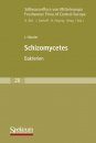 Süßwasserflora von Mitteleuropa, Bd 20: Schizomycetes - Bakterien