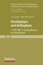 Süßwasserflora von Mitteleuropa, Bd 23: Pteridophyta und Anthophyta 1. Teil: Lycopodiaceae bis Orchidaceae