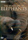 The Secret Life of Elephants - DVD (Region 2)