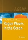 Rogue Waves in the Ocean