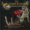 Fungi, Lichens and Mosses / Hongos, Liquenes y Musgos