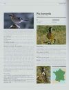Nouvel Inventaire des Oiseaux de France [New Inventory of Birds of France]