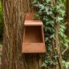 Robin Nest Box