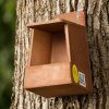 Robin Nest Box