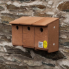 Sparrow Terrace Nest Box