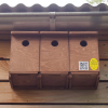 Sparrow Terrace Nest Box