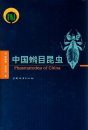 Phasmatodea of China [Chinese]