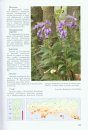 Red Data Book of the Polish Carpathians - Vascular Plants