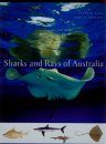 Sharks and Rays of Australia