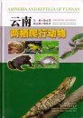 Amphibia and Reptilia of Yunnan [English / Chinese]