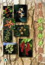 Field Guide to Trees in Hong Kong's Countryside [Chinese]