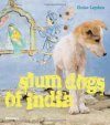 Slum Dogs of India