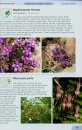 Guide to the Succulents of Southern Africa