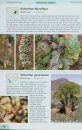 Guide to the Succulents of Southern Africa