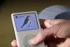 The DVD Video Guide to British Birds iPod Edition