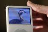 The DVD Video Guide to British Birds iPod Edition