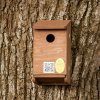 Sparrow Nest Box System