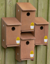 Sparrow Nest Box System