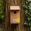 Sparrow Nest Box System
