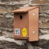 Sparrow Nest Box System