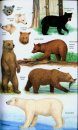 Mammals of North America