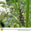 A Practical Handbook of British Beetles, Vols I & II