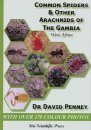 Common Spiders & Other Arachnids of the Gambia, West Africa