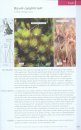 Mosses and Liverworts of Britain and Ireland