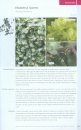 Mosses and Liverworts of Britain and Ireland