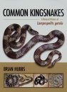 Common Kingsnakes