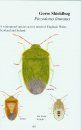 A Pocket Guide to the Shieldbugs and Leatherbugs of Britain and Ireland