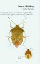 A Pocket Guide to the Shieldbugs and Leatherbugs of Britain and Ireland
