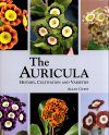 The Auricula