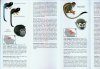 Primatas do Amapá: Guia de Identificação de Bolso [Primates of Amapá: Pocket Identification Guide]