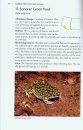 Guide and Reference to the Amphibians of Western North America (North of Mexico) and Hawaii
