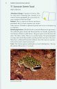 Guide and Reference to the Amphibians of Western North America (North of Mexico) and Hawaii