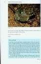 Guide and Reference to the Amphibians of Western North America (North of Mexico) and Hawaii