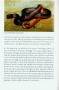 Guide and Reference to the Snakes of Western North America (North of Mexico) and Hawaii