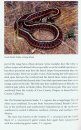 Guide and Reference to the Snakes of Western North America (North of Mexico) and Hawaii