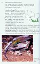 Guide and Reference to the Turtles and Lizards of Western North America (North of Mexico) and Hawaii