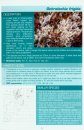 The Montane Heathland Lichen Guide