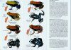 Grenouilles de Madagascar du Genre Mantella: Guide d'Identification de Poche [Frogs of Madagascar, Genus Mantella: Pocket Identification Guide]